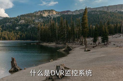 視頻監控系統圖，什么是DVR監控系統...